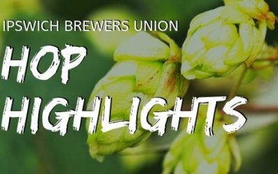 Hop Highlights: Sabro