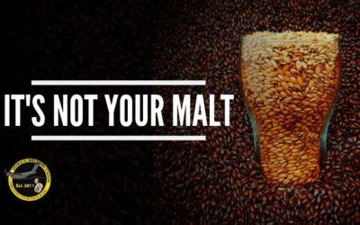 Malt For Beer Brewing